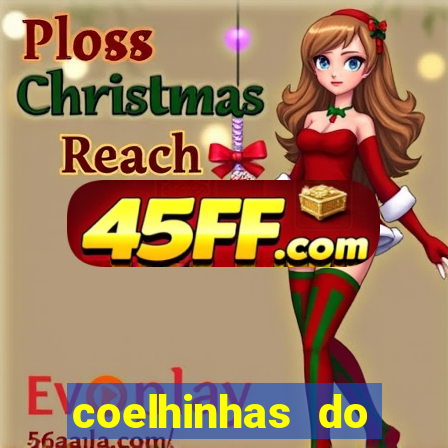 coelhinhas do brasil acompanhantes